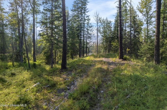 Property thumbnail 18