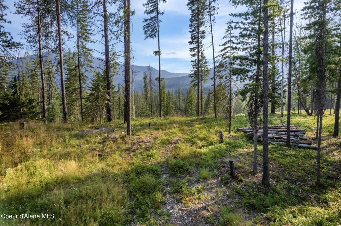 Property thumbnail 23