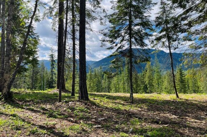 Property thumbnail 25