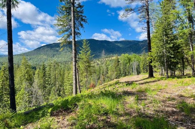 Property thumbnail 27