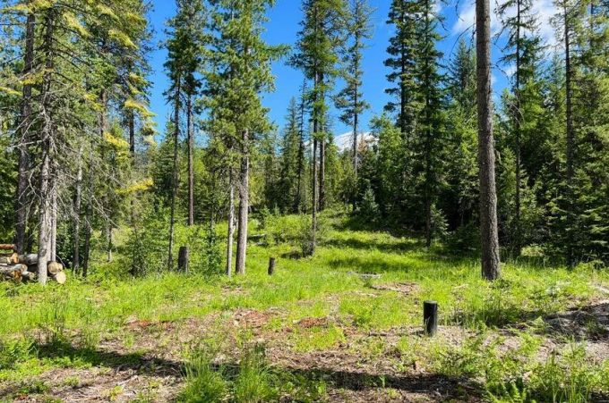 Property thumbnail 28