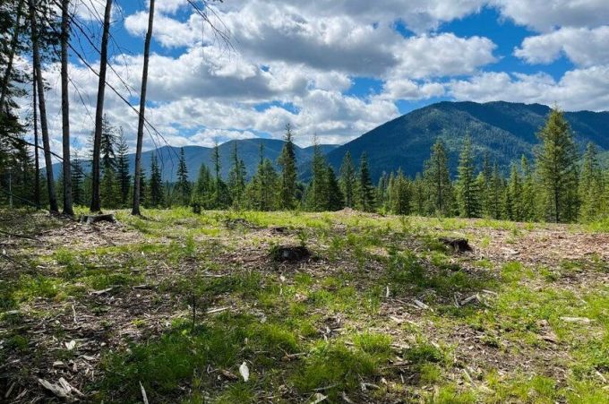 Property thumbnail 29