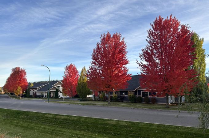 Property thumbnail 37