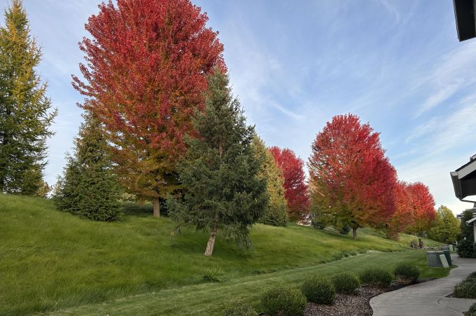 Property thumbnail 38