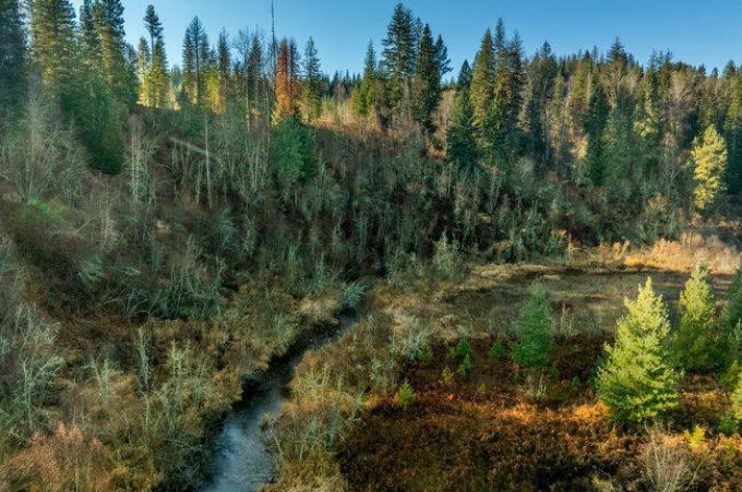 Property thumbnail 15