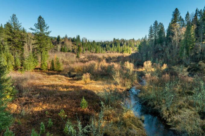 Property thumbnail 17