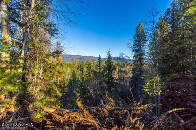 Property thumbnail 25