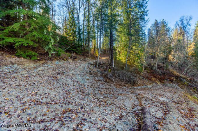 Property thumbnail 31