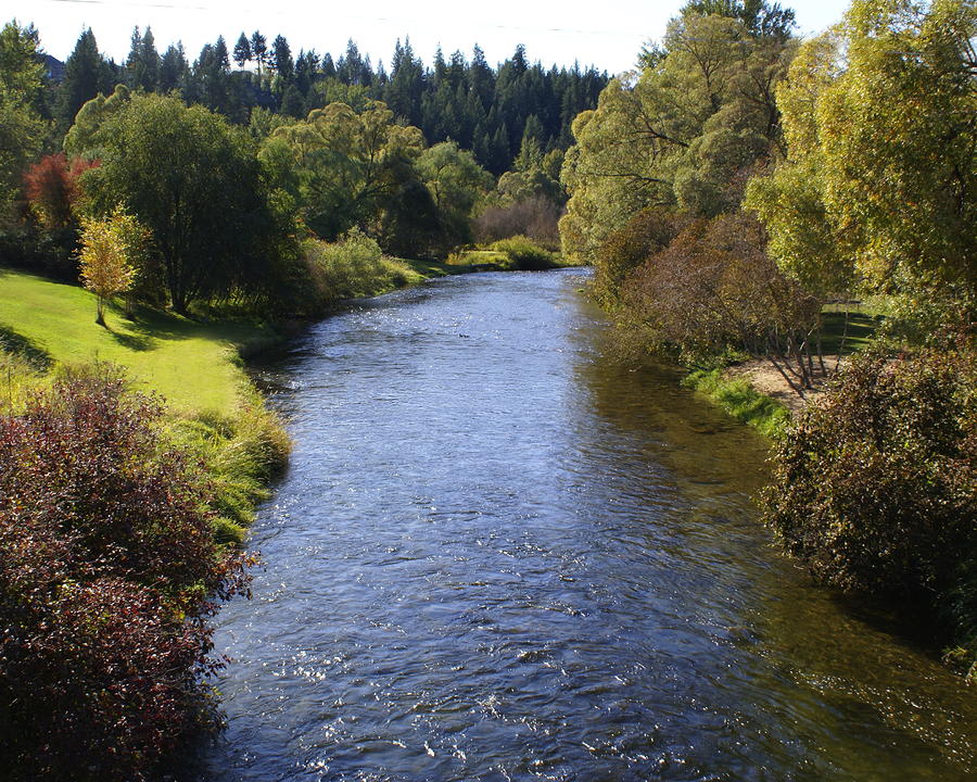 Little Spokane River Photo