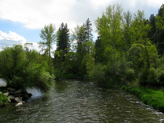 Little Spokane River Photo